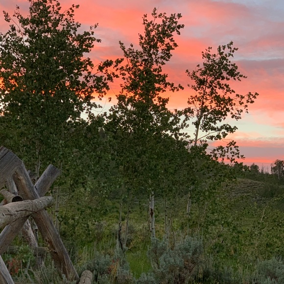 Meet your Posher, Crystal - Picture 5 of 6